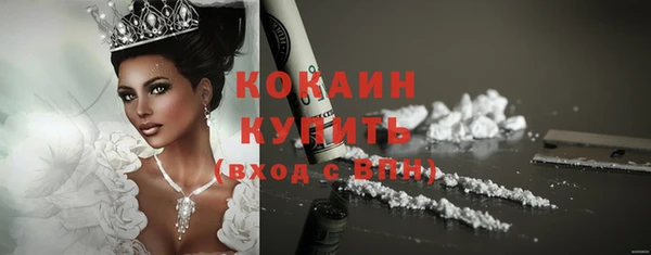 крисы Кулебаки