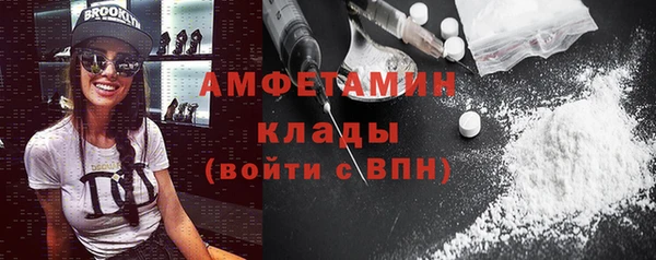 крисы Кулебаки