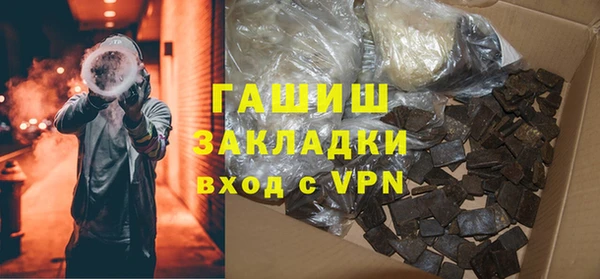 крисы Кулебаки
