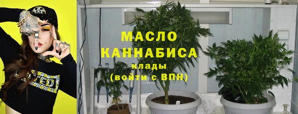 крисы Кулебаки