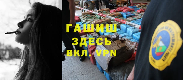 крисы Кулебаки