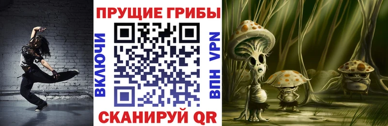 mega как войти  Ессентукская  Псилоцибиновые грибы мицелий 